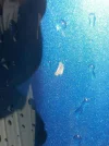 IMG-20130421-WA0000.webp