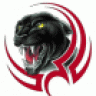cryptic panther