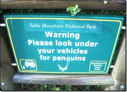 silly+warning+signs[3].jpg